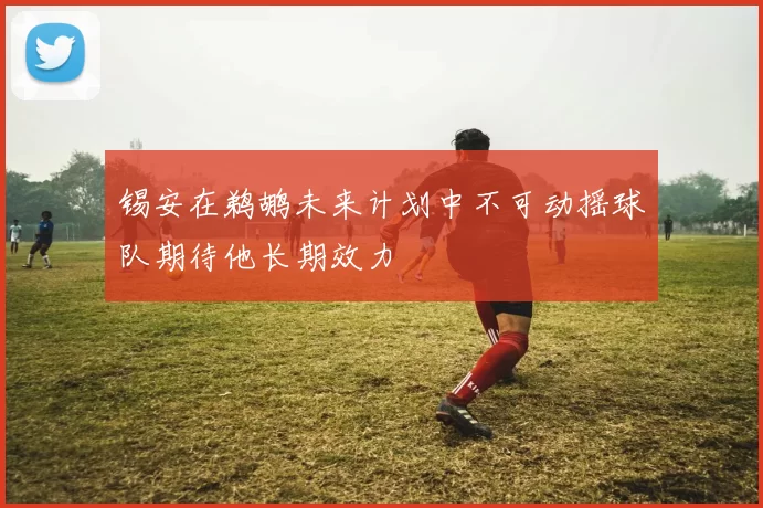 锡安在鹈鹕未来计划中不可动摇球队期待他长期效力